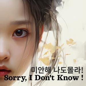 미안해, 나도 몰라 (Sorry, I Dont Know)