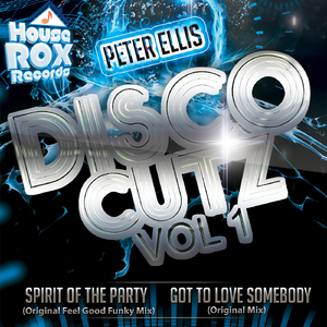 Got To Love Somebody (Original Mix)