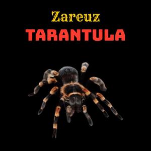 Tarantula