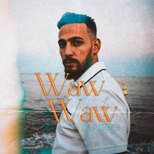 WAW WAW