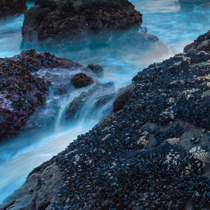 你若坚定选择我