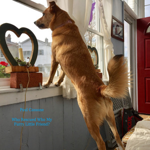 Who Rescued Who My Furry Little Friend?