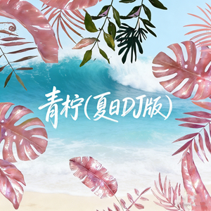 青柠 (夏日DJ版)
