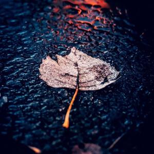 假若当初是另一个我 和你遇见