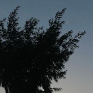 来不及爱你 雨就停了