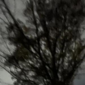 long night (feat. apeezy)