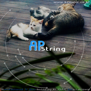 나랑 놀자(Guitar. 김정겸)