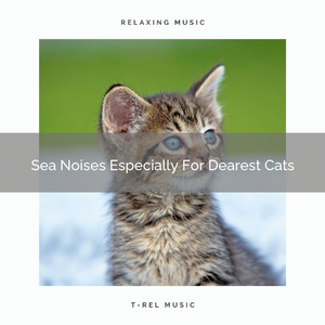 Stress Relieving Waves Songs For Our Cats