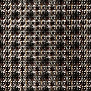 又力另刂舌忝（Prod Coffee Idol）