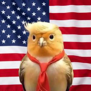 Трамп