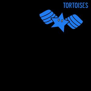 tortoises