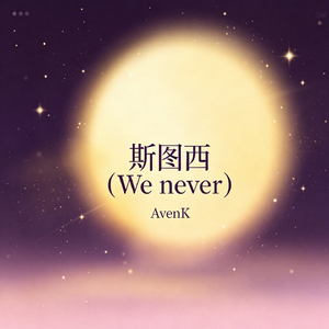 斯图西（We never）