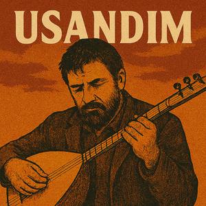 USANDIM