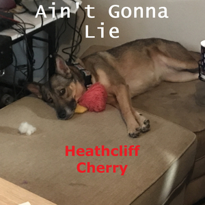 Ain't Gonna Lie