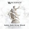 Ayko - Attraction (Extended Mix)