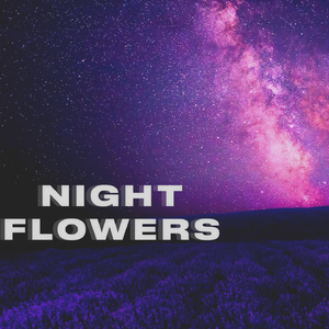 NIGHT FLOWERS