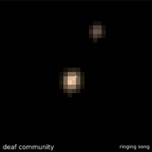 Ringing Song