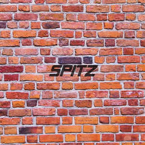Spitz