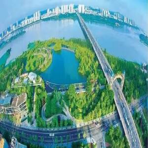 我是一只小小鸟