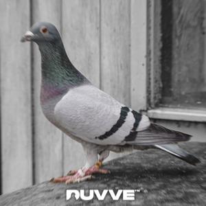 Diva's (feat. Mc Equal, Thorre & Siga)