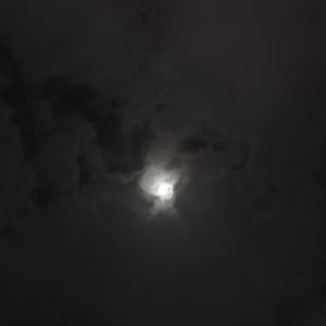 今天是晴天吗？