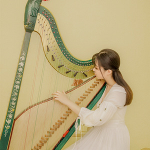 不染 【箜篌版】（翻自 毛不易）