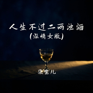 人生不过二两浊酒(深情女版)