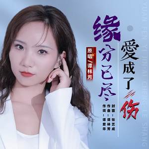 缘分己尽爱成了伤 （DJ版）