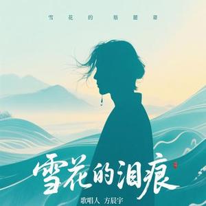 雪花的泪痕