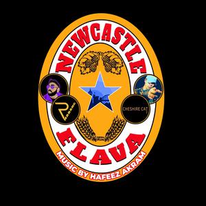 Newcastle Flava (feat. Cheshire Cat) (Radio Edit)