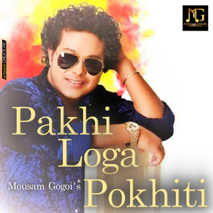 Pakhi Loga Pokhiti