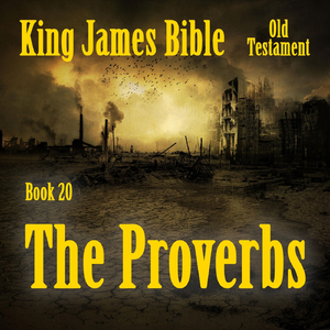 The Proverbs 20.1 - 20.30
