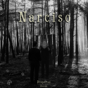 Disperso (Narciso)