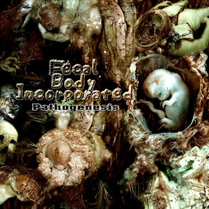 Gonorrhea Macerated ****