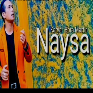 NAYSA