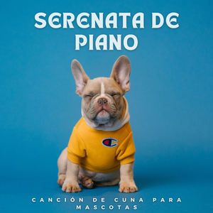 Música De Piano Para Masajes Puros