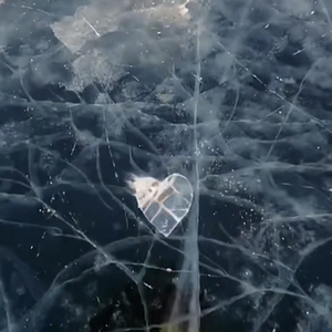 【Free】V 's richnomadic type beat