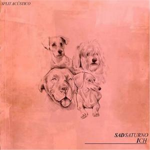 La Sustituta (Acoustic)