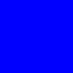 Indt