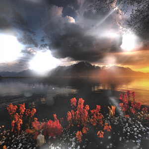 あなたは雲に恋をした