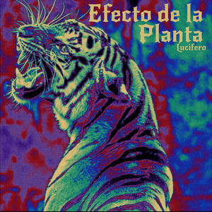 Efecto de la Planta
