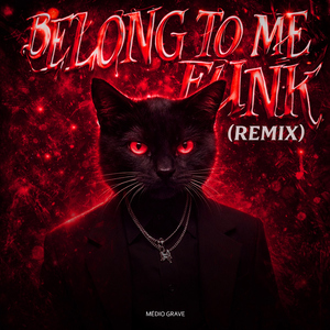 BELONG TO ME FUNK (REMIX)