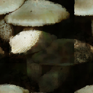 Planaria
