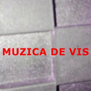 muzica de vis