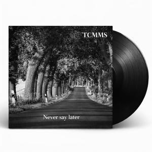 Never say later (Remix)