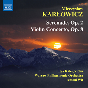 Violin Concerto in A Major, Op. 8:II. Romance: Andante