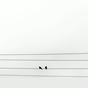 ค่ำคืนที่เงียบสงบ