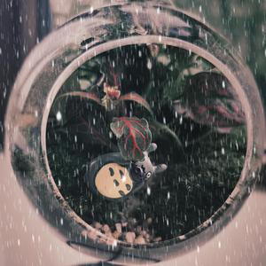 Dance in the Rain