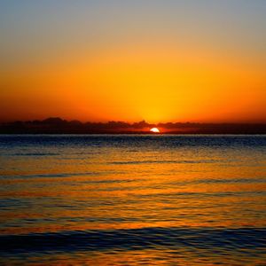 红尘这张网 花姐 闫双