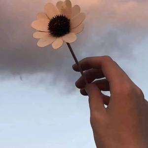 盐（Witch’s Condiment）